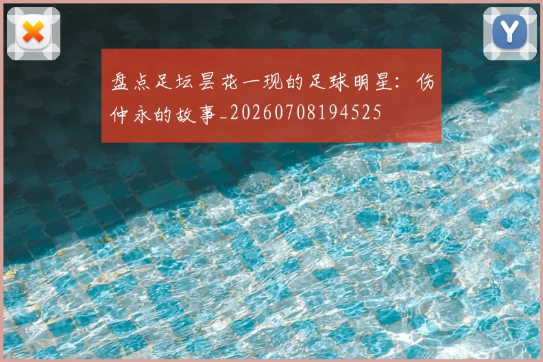 盘点足坛昙花一现的足球明星：伤仲永的故事_20260708194525