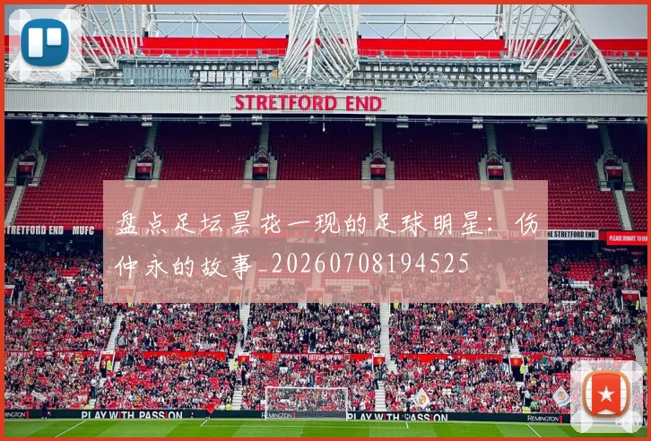 盘点足坛昙花一现的足球明星：伤仲永的故事_20260708194525