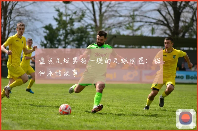 盘点足坛昙花一现的足球明星：伤仲永的故事