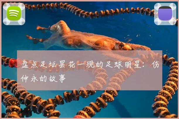 盘点足坛昙花一现的足球明星：伤仲永的故事